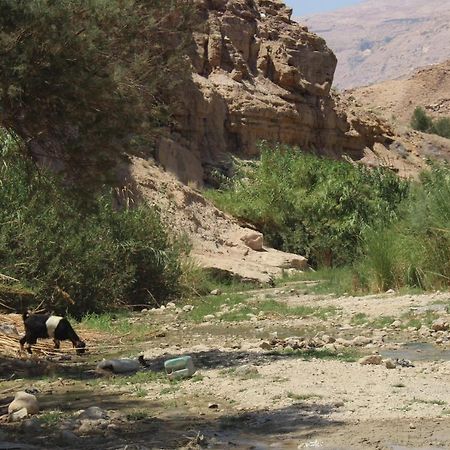 ホテル Wadi Al-Hassa Camp Khawkhah エクステリア 写真