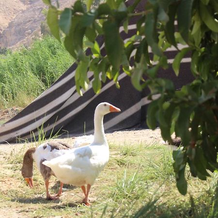 ホテル Wadi Al-Hassa Camp Khawkhah エクステリア 写真