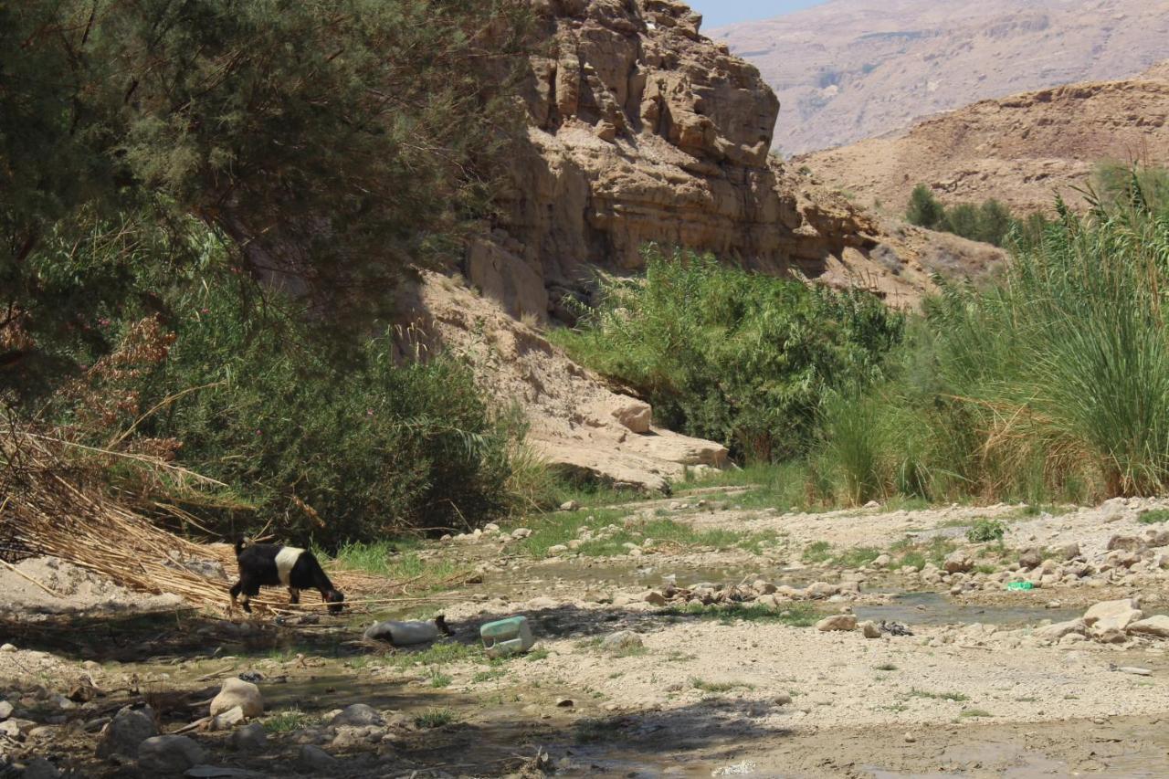 ホテル Wadi Al-Hassa Camp Khawkhah エクステリア 写真