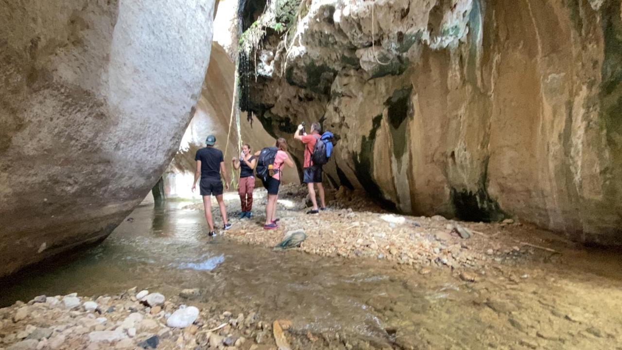 ホテル Wadi Al-Hassa Camp Khawkhah エクステリア 写真