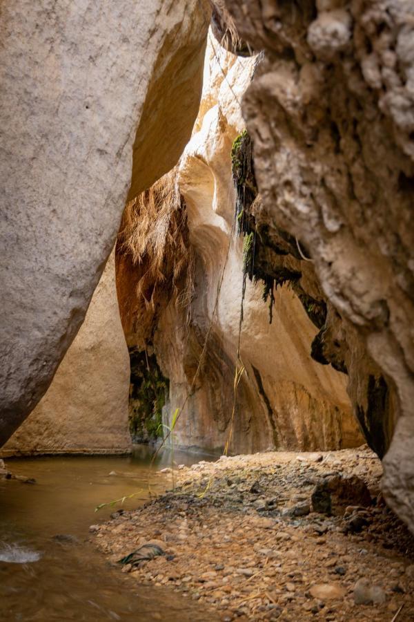 ホテル Wadi Al-Hassa Camp Khawkhah エクステリア 写真